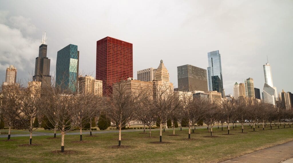 Bare winter trees in downtown Chicago, Illinois, location of significant clergy sexual abuse investigations