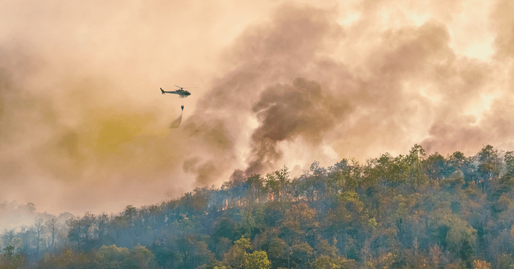 Maui Fires Lawsuit: Legal Action Against Negligence in Hawaii Wildfire Disaster