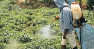 A close-up of a person wearing gardening gloves using a weed killer sprayer on a lawn, representing Roundup exposure and Non-Hodgkin Lymphoma claims.
