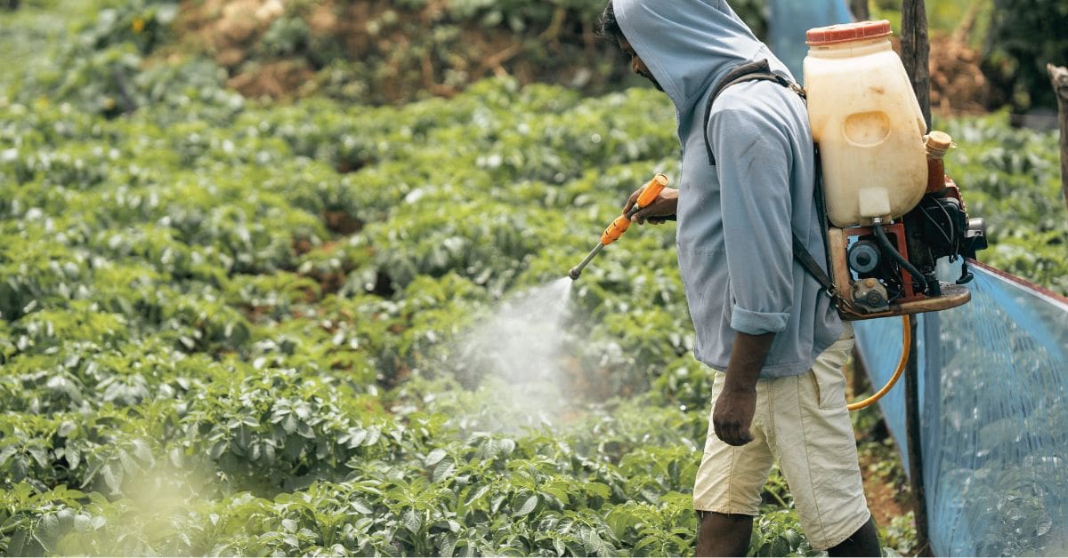 A close-up of a person wearing gardening gloves using a weed killer sprayer on a lawn, representing Roundup exposure and Non-Hodgkin Lymphoma claims.